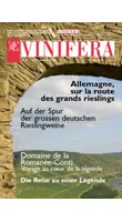 Vinifera 41