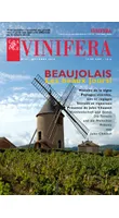 Vinifera 43