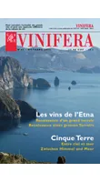 Vinifera 45