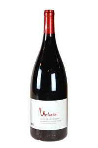 Saumur Puy-Notre-Dame, Clos de la Cerisaie, Mélaric (magnum) - 2015