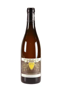 Saumur blanc, Terres (amphore), Roches Neuves - 2019