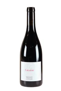 La Côte, Pinot noir Girarde, Colombe - R. Paccot - 2019