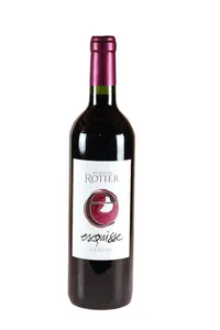 Gaillac rouge, Esquisse, Domaine Rotier - 2020