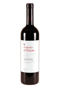 Genève, Gamay, Terre d'Esize - Ch. Bosson - 2019
