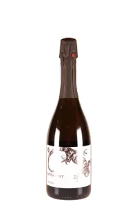 VdP, Extra Brut - Blanc de Noirs, Dom. le Gd-Clos, J-M Novelle - 2018