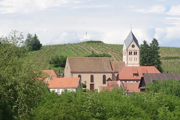 Image Beaujolais no.0