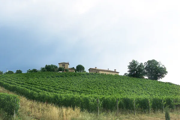 Image San Giusto a Rentennano no.0