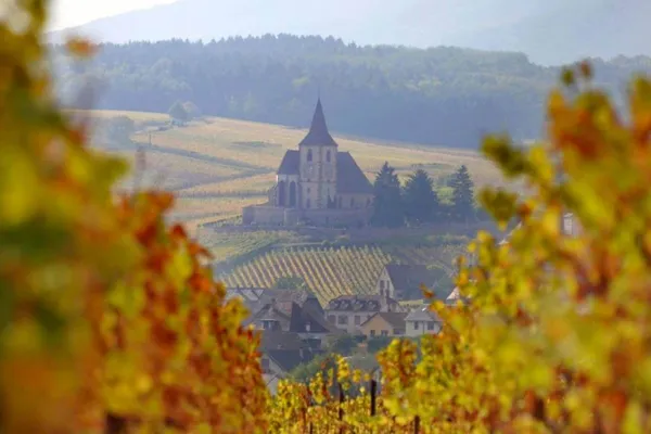 Image Trimbach no.2